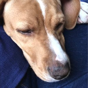 Meet your Posher, Kirsten